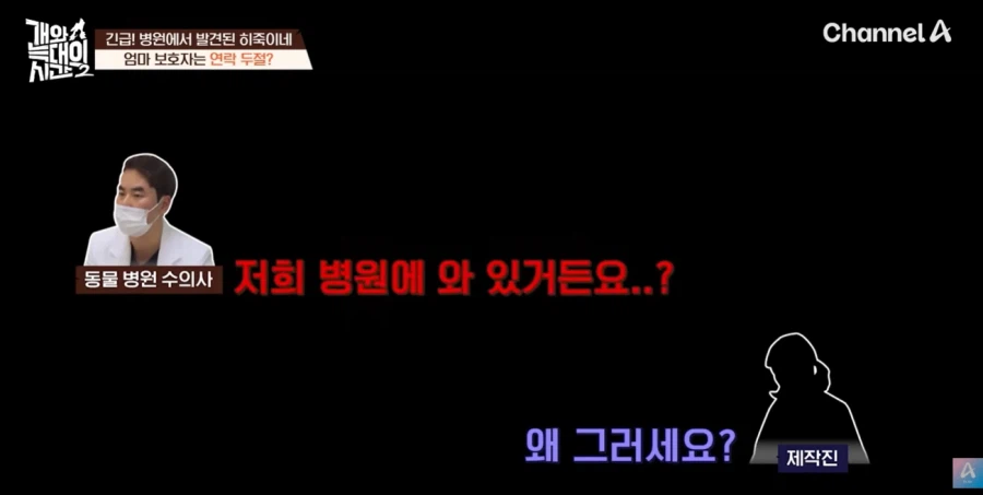 강형욱 나오는 개와 늑대의 시간 진짜 역대급 빌런나오더라_8.webp