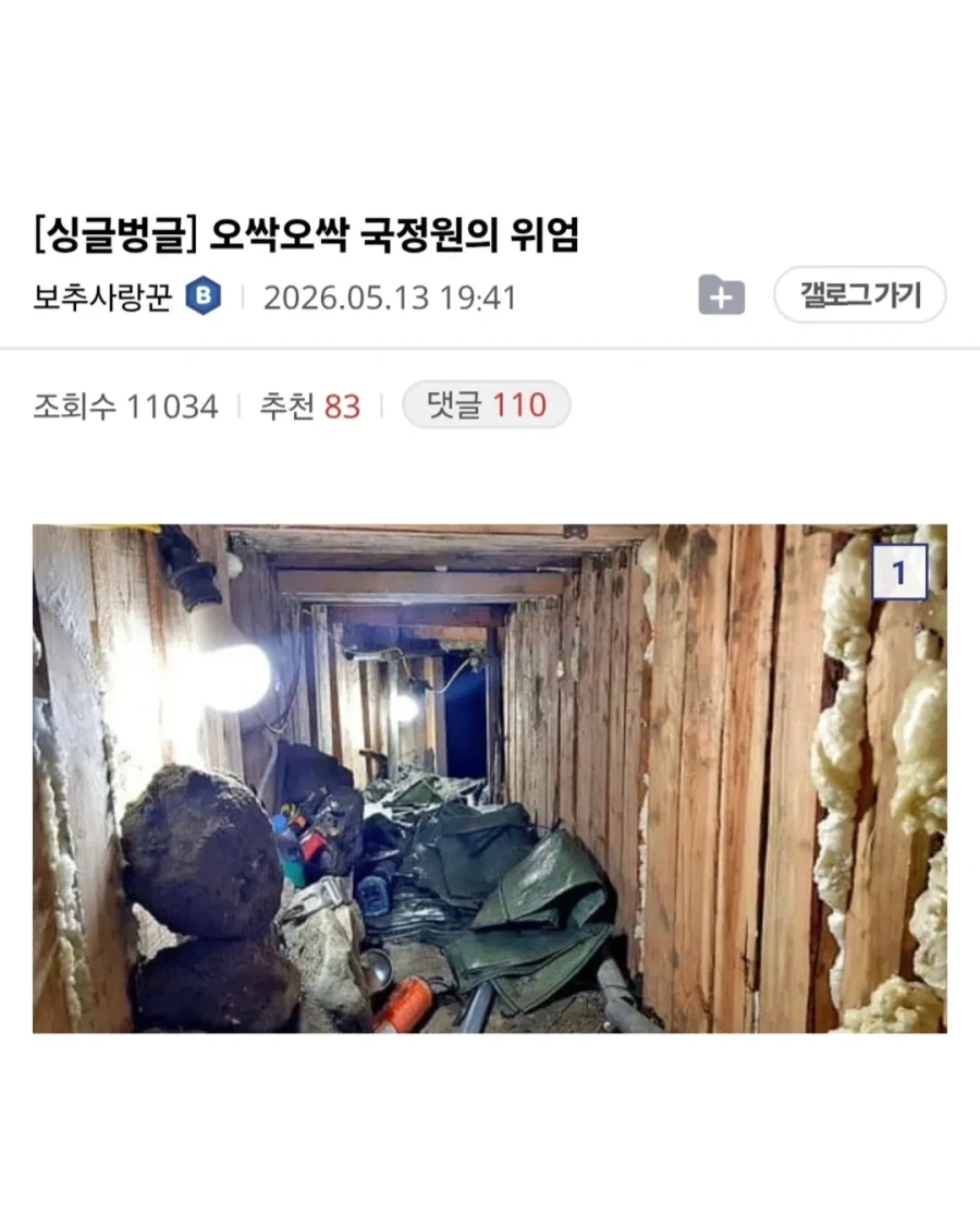 국정원은 모든 걸 알고 있어요!_1.webp