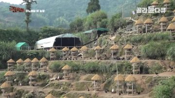 완전 동물복지 중국 닭 사육장_10.webp