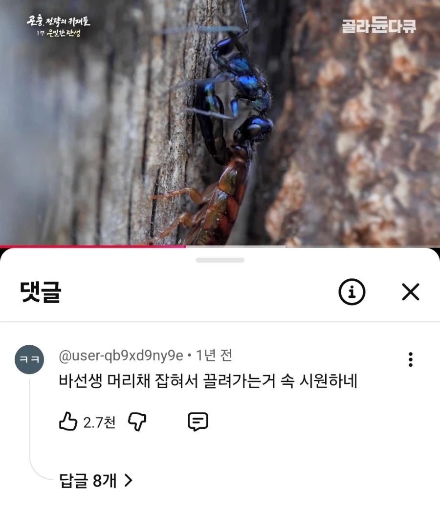 모두의 존경을 받는 곤충_4.webp
