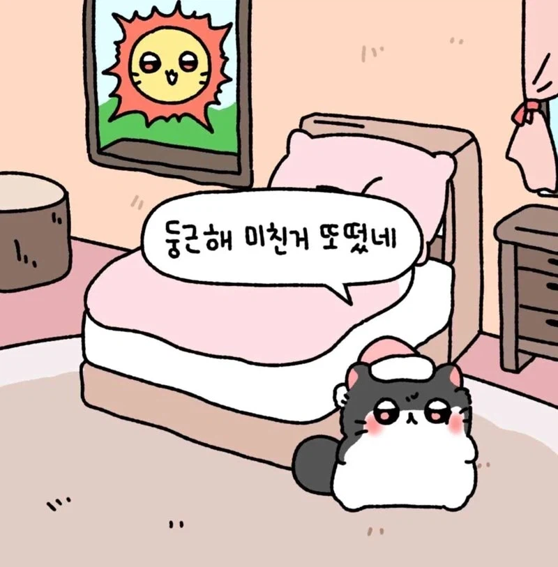둥근해 미친거 또떴네_1.webp