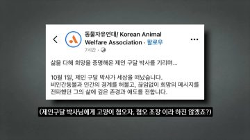 다시 한번 길고양이 문제에 대해 강하게 어필하는 유튜버 (※스압주의)_44.webp