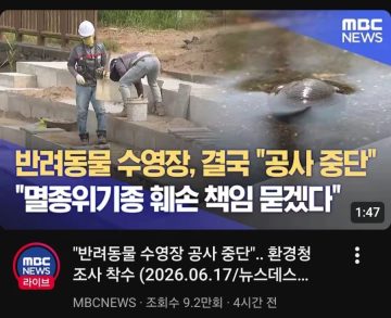 콘크리트 대학살 최신 근황_2.webp