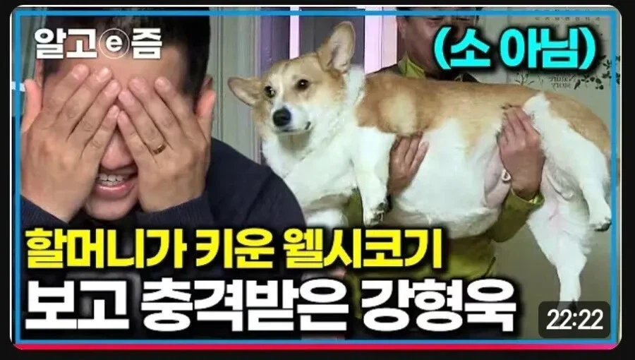 강형욱도 경악한 확대_1.webp