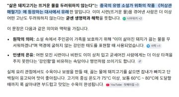 강호동이 가장 좋아하는 속담..._8.webp