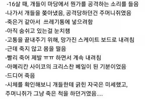 개들에게 공격받던 주머니쥐가 가망이 없어 보여서….jpg_1.webp
