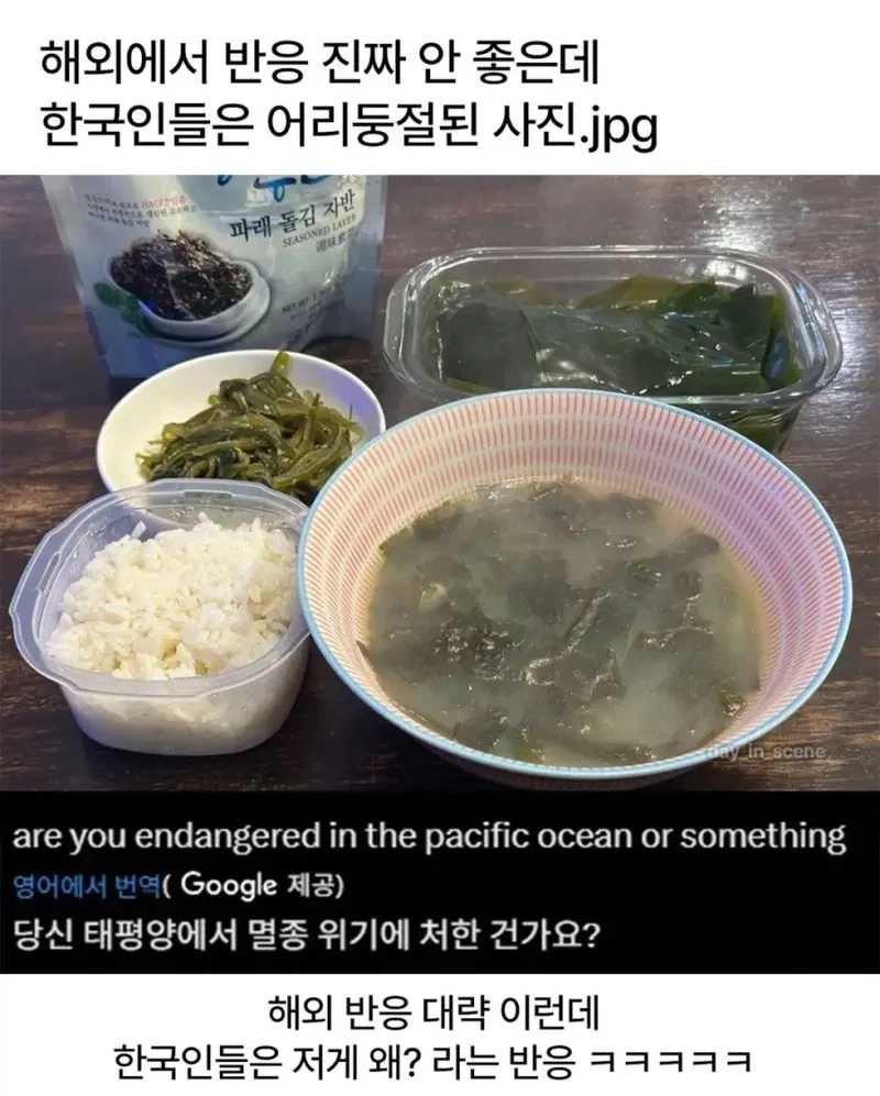 해외 반응은 안좋은데 한국인들은 어리둥절한 짤_1.webp