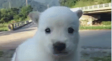살면서 ㄸㄹㅇ 짓 어디까지 해봄?.jpg_3.gif