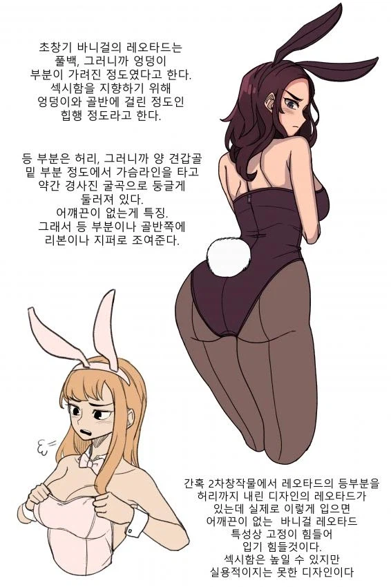 바니걸에 대해 알아보는 만화_10.webp
