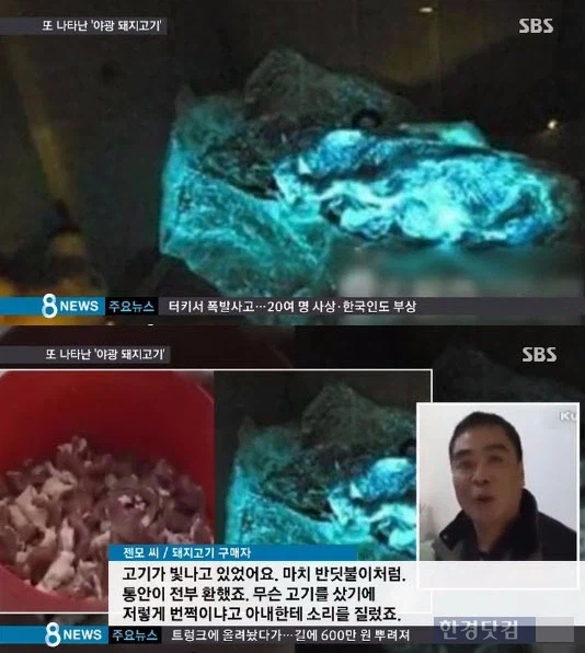 베스트에 SSR급 무지개빛 굴 보고 떠올랐음_2.webp