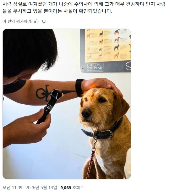 장님인줄 알았던 강아지의 비밀_1.webp