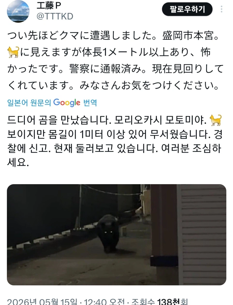어제 시내 상업시설에 곰이 침입했던 일본 근황_5.webp