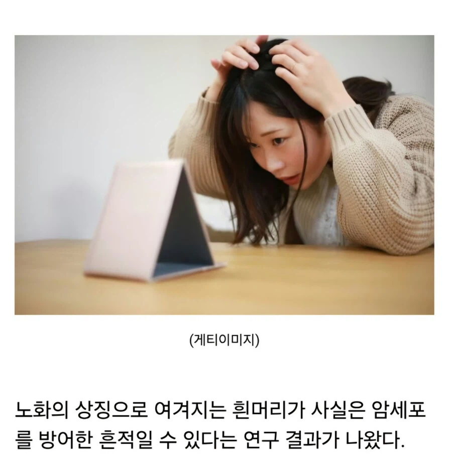 흰머리가 암세포를 방어한 흔적?_2.webp