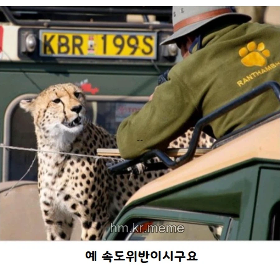 동물 제목학원 모음_7.webp