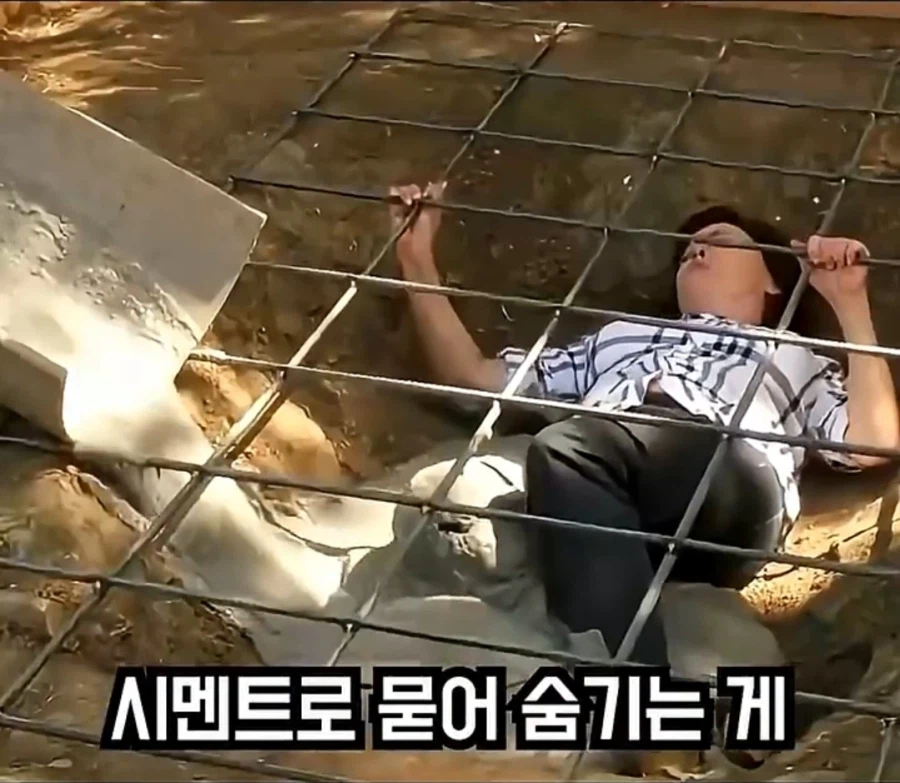 80KG 고기를 시멘트로 묻을 때 주의사항_1.webp