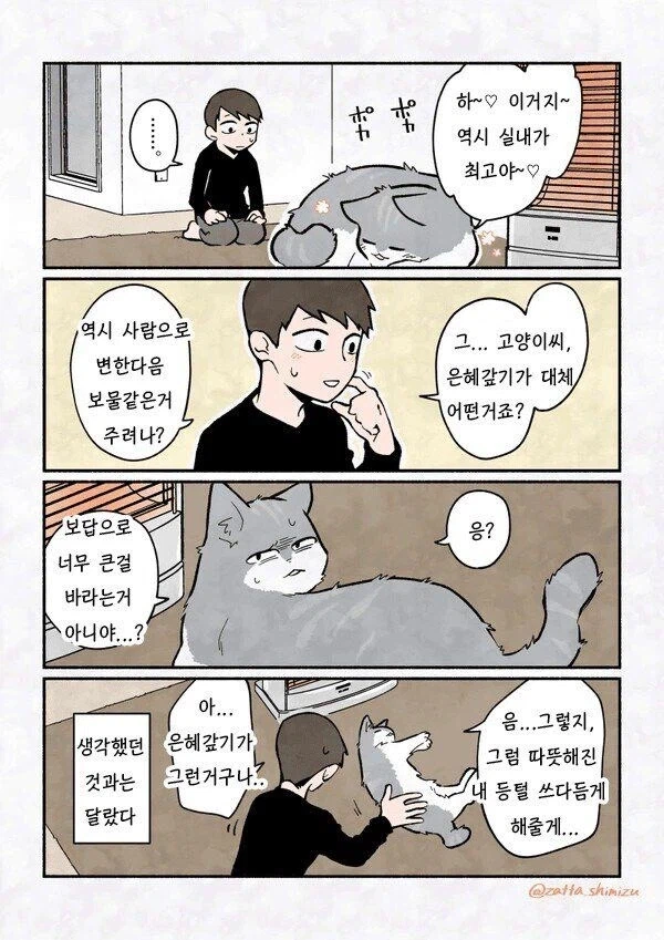 고양이가 은혜갚는 만화_2.webp