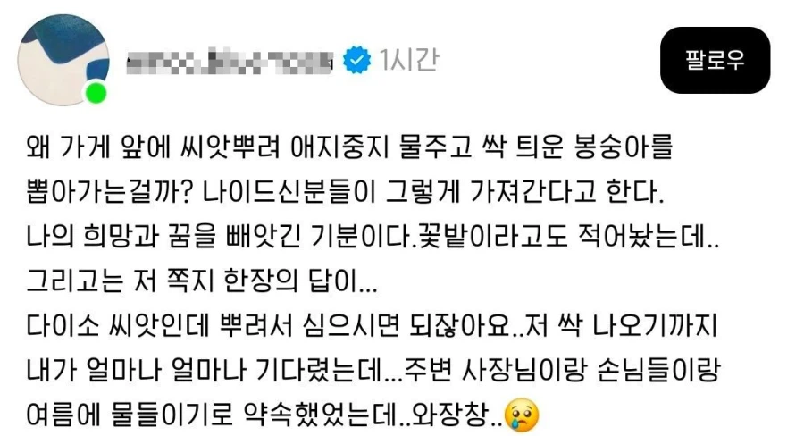 ? : 아ㅋㅋ 심은 사람 없는 줄 알았다니까요~_1.webp