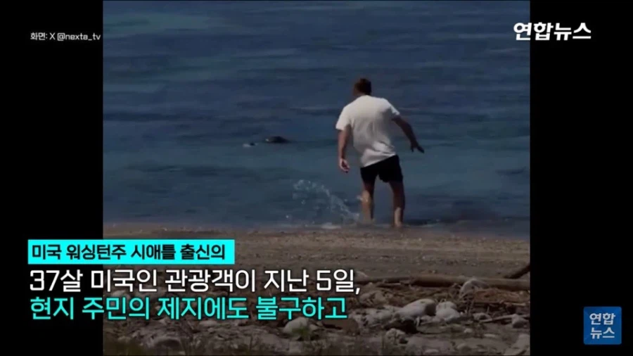 멸종 위기 동물 괴롭히던 관광객의 최후_1.webp
