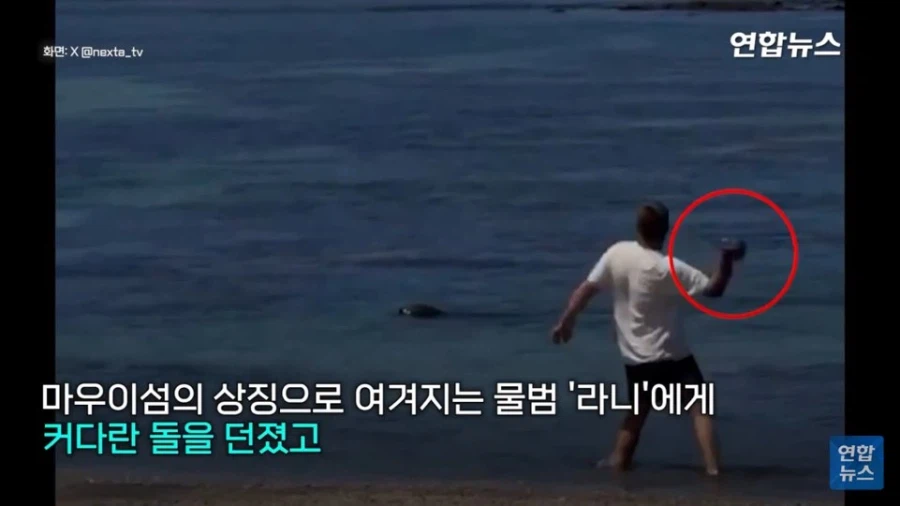 멸종 위기 동물 괴롭히던 관광객의 최후_2.webp