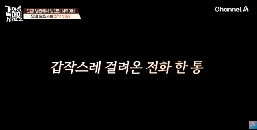 강형욱 나오는 개와 늑대의 시간 진짜 역대급 빌런나오더라_2.webp