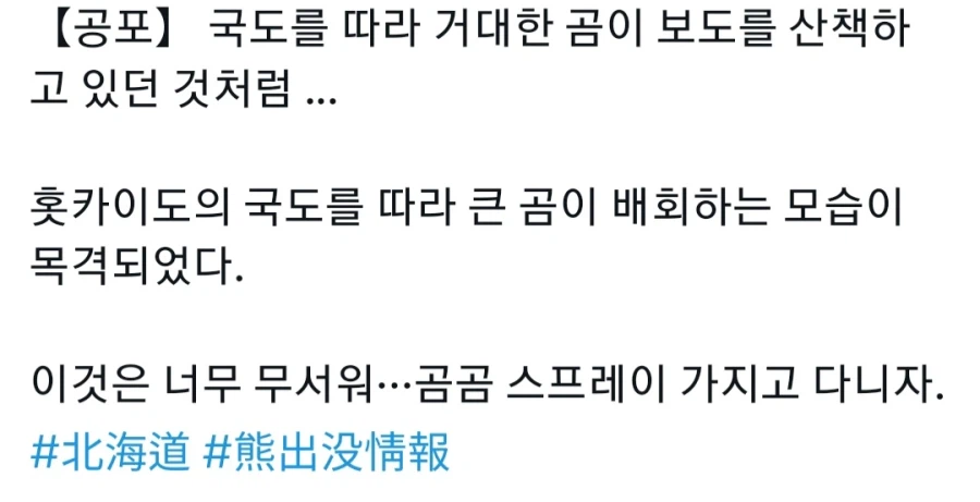 어제 시내 상업시설에 곰이 침입했던 일본 근황_4.webp