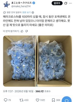 포켓몬)헤라크로스 인형을 사재기한 사람_1.webp
