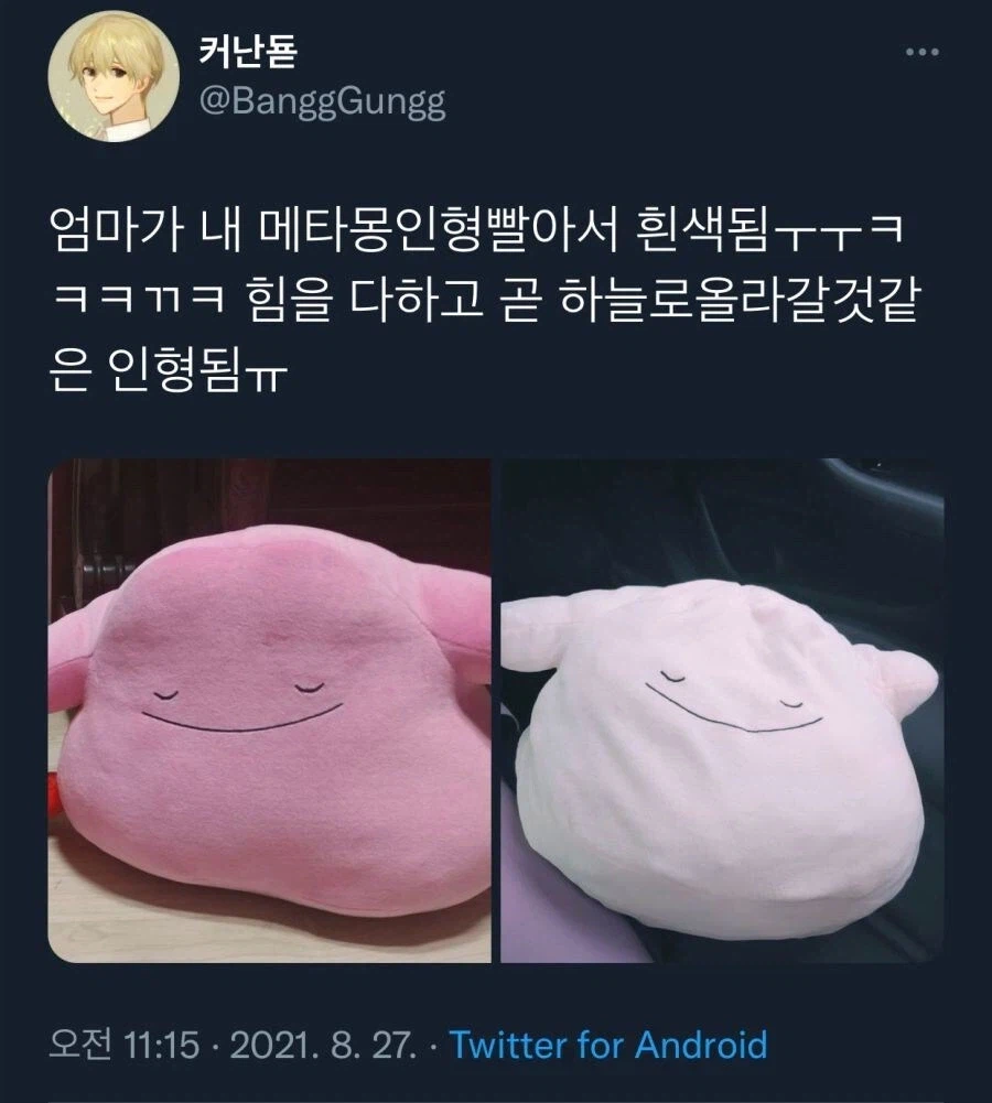 썩.....괜찮은 포생이었다!!!_1.webp
