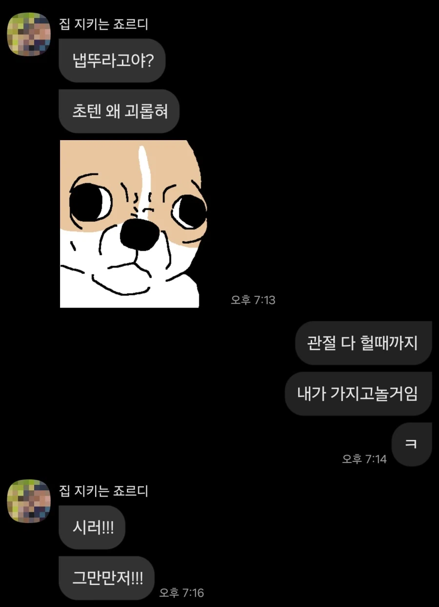와이프 피규어 가지고 놀다 혼남_6.webp