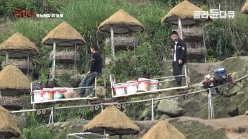 완전 동물복지 중국 닭 사육장_19.webp