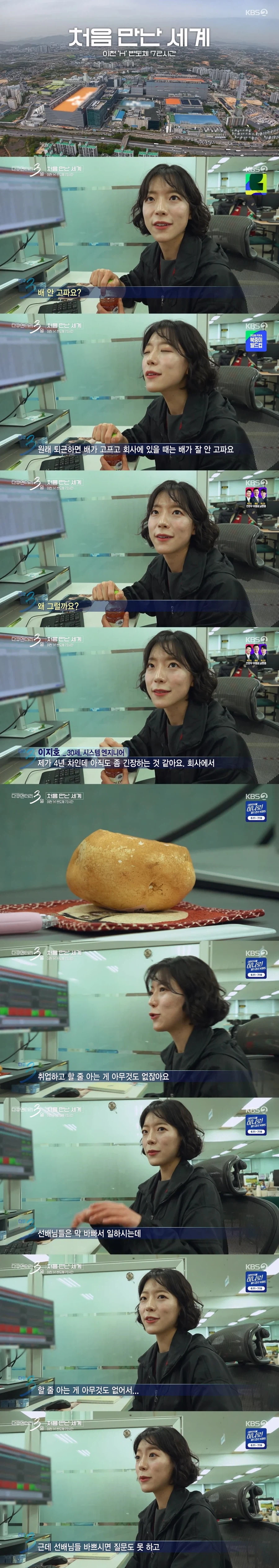 하이닉스에서 근무하는 30살 여성의 책상에 감자가 있는 이유_1.webp