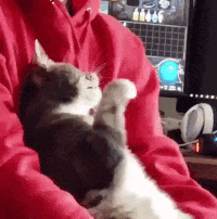 헬스장 운동은 어깨에 안 좋다는 의사._6.gif
