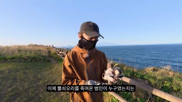 다시 한번 길고양이 문제에 대해 강하게 어필하는 유튜버 (※스압주의)_4.webp