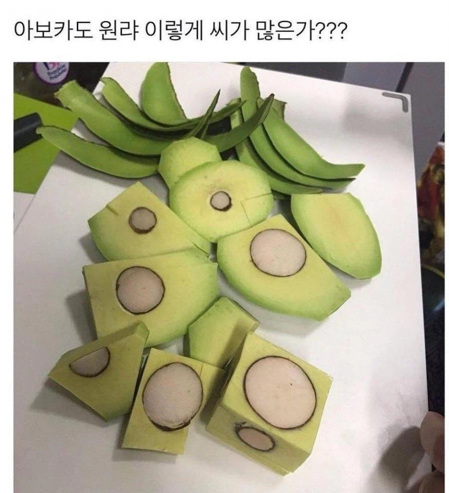 아보카도 씨 처음 본 사람_1.webp