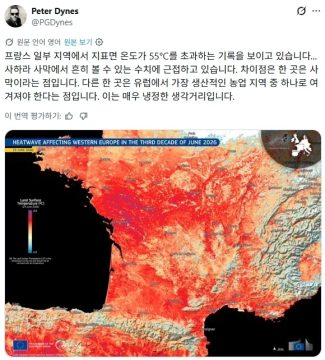코쟁이놈들아 폭염맛좀 봐라_2.webp