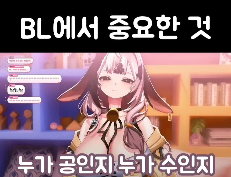 여성 방송인 "BL에서 공수는 중요해"_1.webp