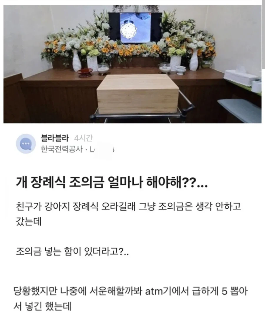 블라에서 논란이었던 강아지 장례식_1.webp