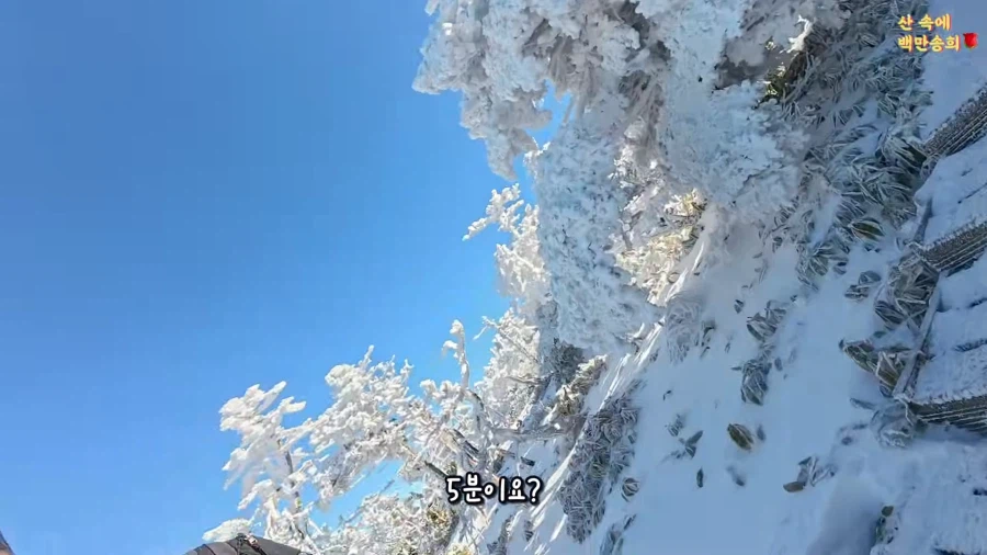 제주 한라산에서 일어난 사기극_2.webp