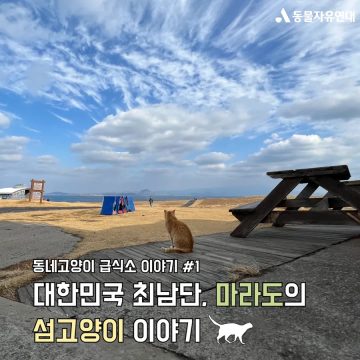 현재 진행형인 마라도의 생태계와 고양이 문제_6.webp