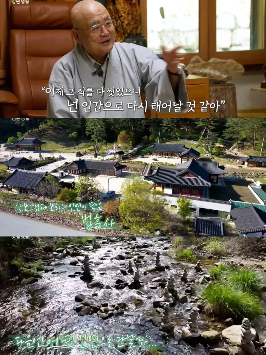 스님 머리 핥는 개로 유명했던 보리를 잊지 못하는 스님_11.webp