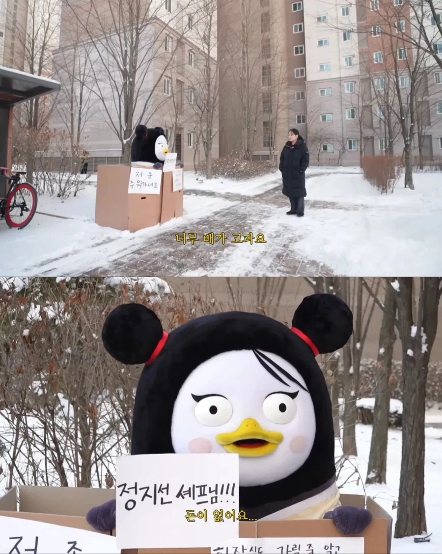 펭수가 대한민국에서 살아남은 이유_5.webp
