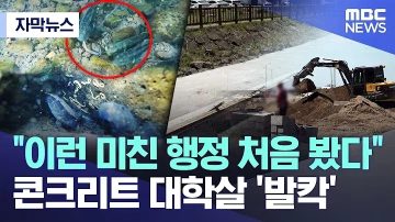 콘크리트 대학살 최신 근황_1.webp