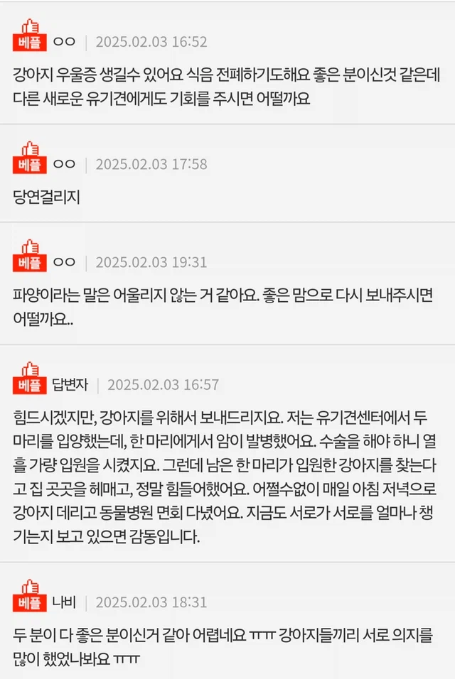 개도 우울증에 걸릴 수 있나요?.jpg_3.webp