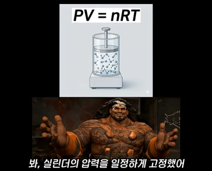 마우가 정신 근황_1.webp