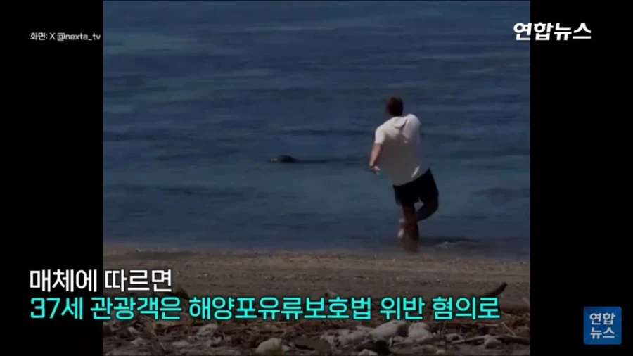 멸종 위기 동물 괴롭히던 관광객의 최후_7.webp
