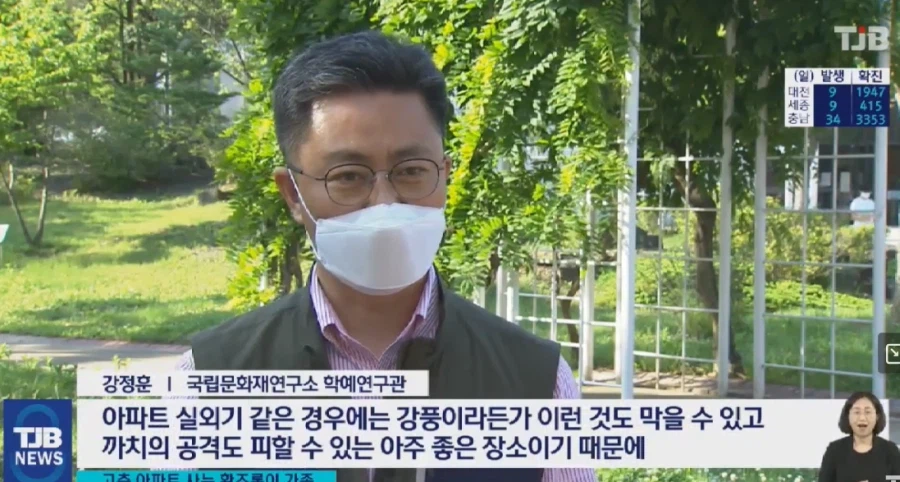 아파트에 적응 잘한 조류_2.webp