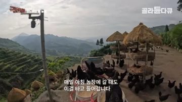 완전 동물복지 중국 닭 사육장_18.webp