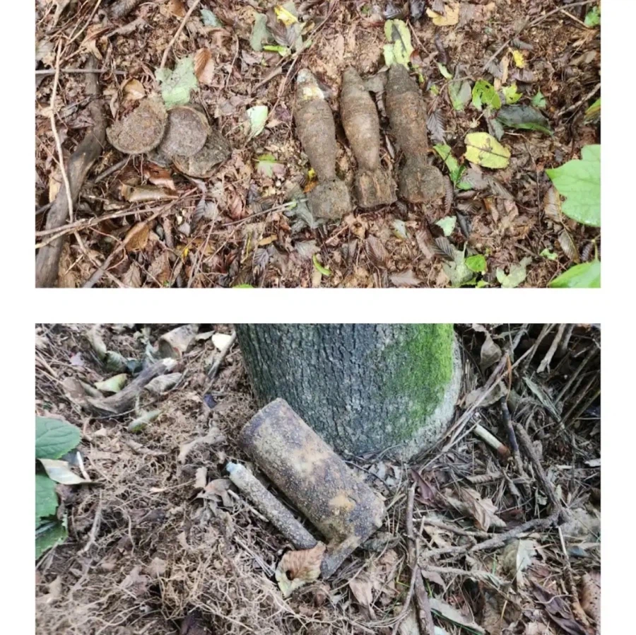 등산하다 이상한걸 발견한 디씨인_6.webp