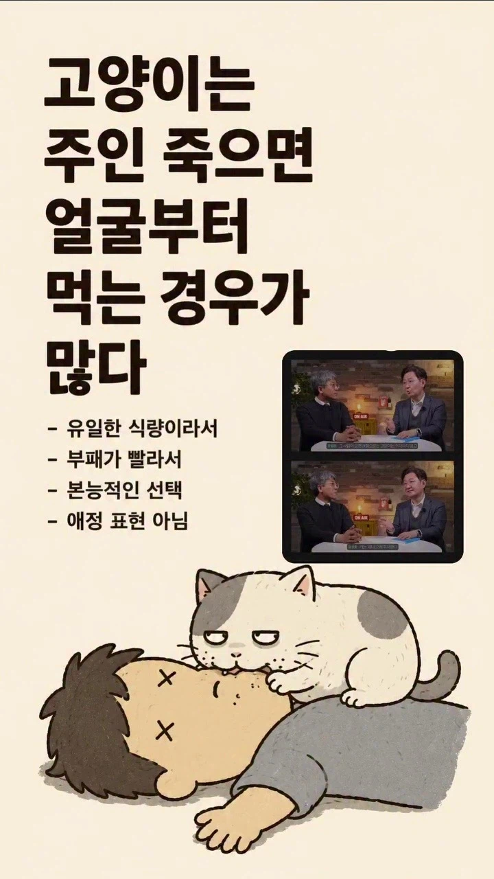 고양이는 주인 죽으면 얼굴부터 먹는 경우가 많다.jpg_1.webp