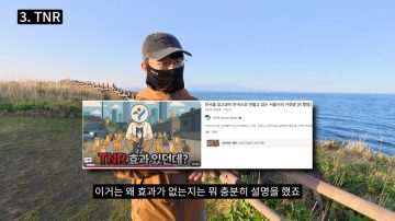 다시 한번 길고양이 문제에 대해 강하게 어필하는 유튜버 (※스압주의)_14.webp