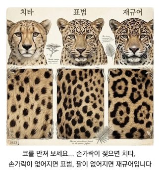 준비물 하나로 알수 있는 정글에서의 꿀팁_1.webp